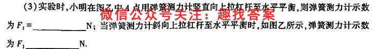 重庆市名校联盟2022-2023年度高一上学期第二次联合考试物理
