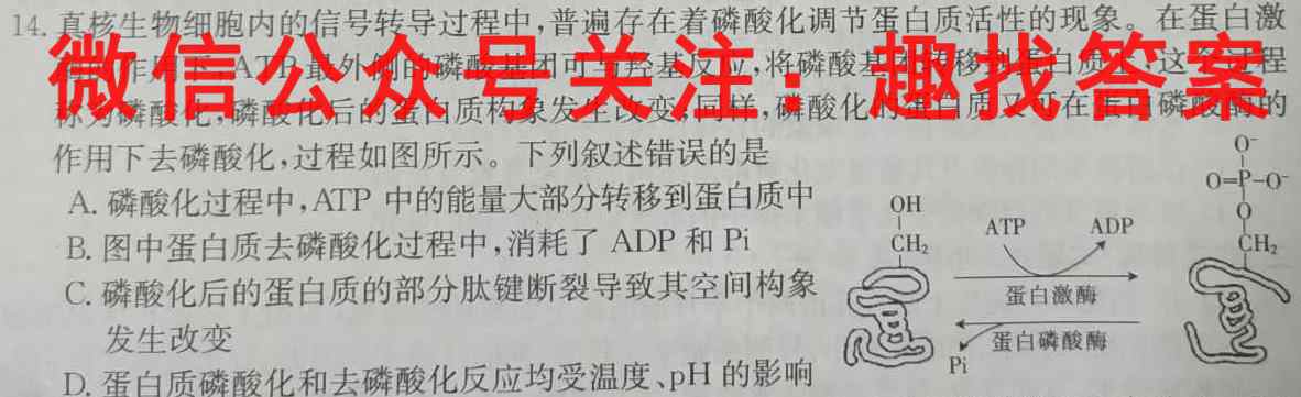 2023年普通高等学校招生统一考试模拟信息卷 新S3(四)生物