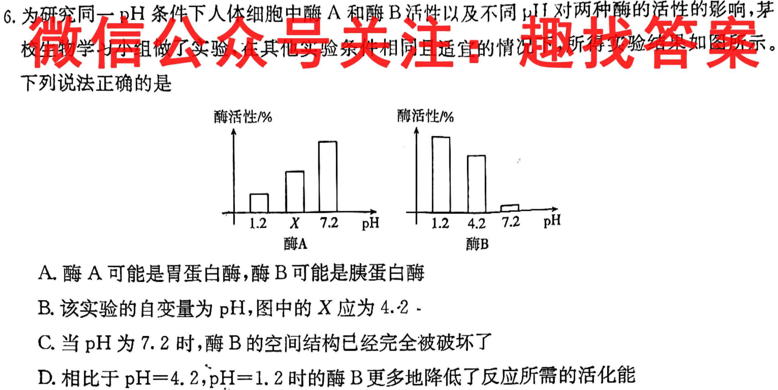 广西2023届高三12月联考(E3032C)生物试卷答案