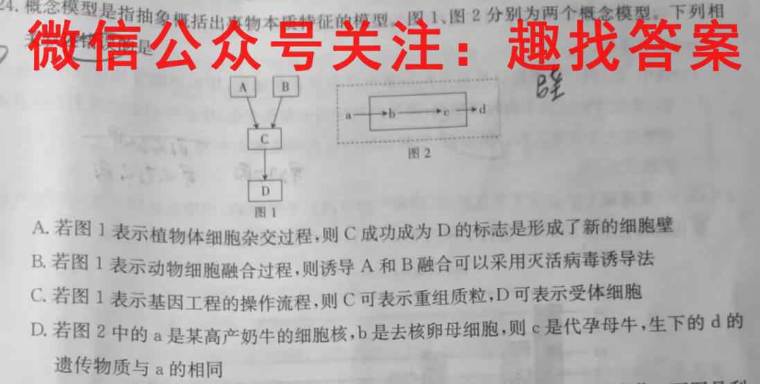 山东省济宁市2022-2023学年高二第一学期期中考试生物