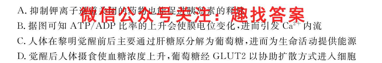2023届衡中同卷调研卷 全国卷A(一)生物试卷答案