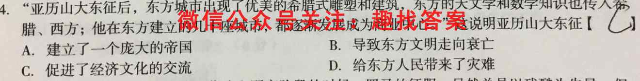 2022-2023学年度上学期高三年级第三次综合素养评价(HZ)历史