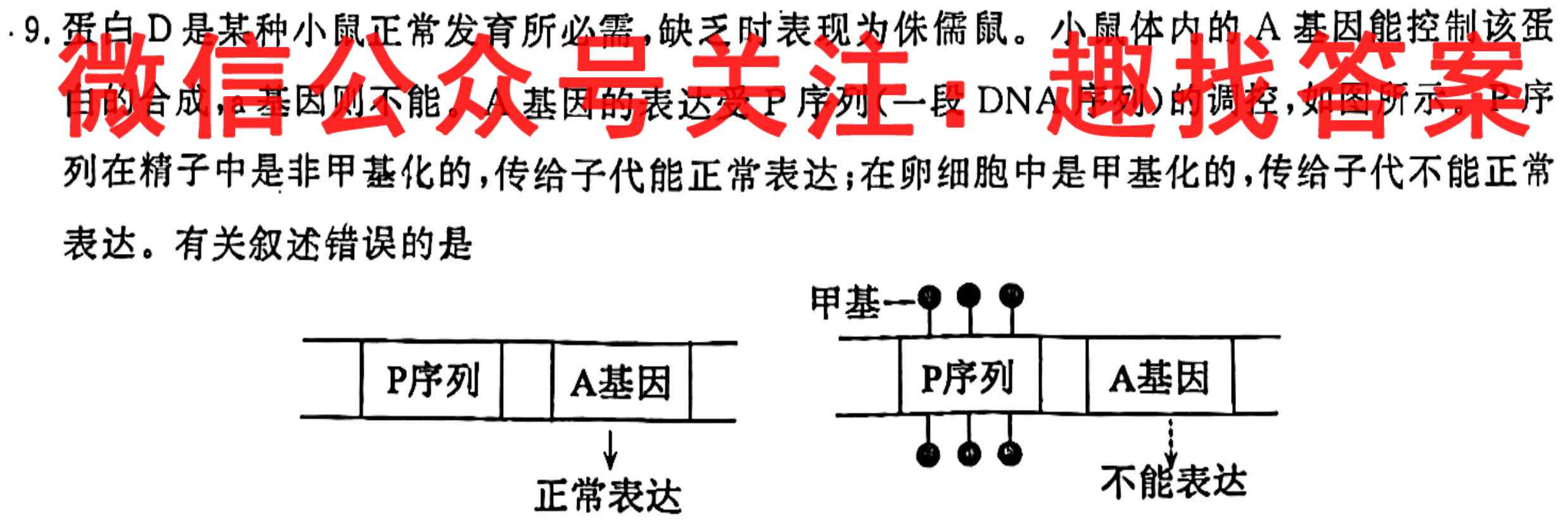 云南民族中学2023届高考适应性月考卷(五)5生物