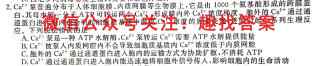 学科网2022年高三12月大联考(新高考卷)(新教材)生物