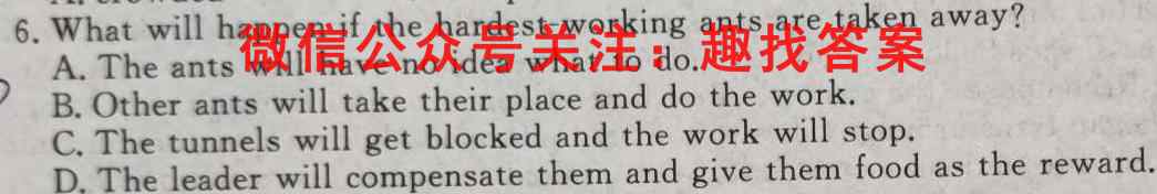 2022-2023学年湖北省高二11月联考(23-153B)英语