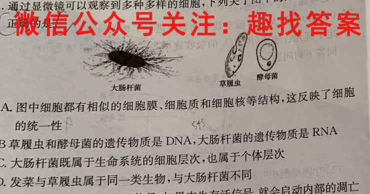 河南省2022-2023学年高三全国重点高中新百年竞优联考生物试卷答案