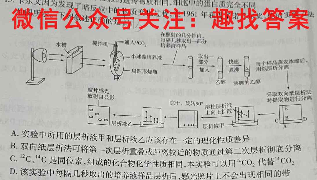 2023届高考分段学情评估卷 新高考(四)4数学