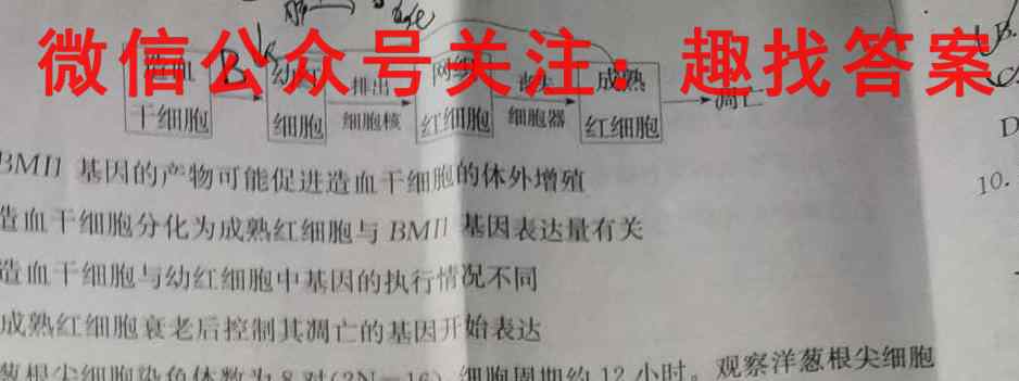 2023届陕西省高三12月联考(23-221C)文理数学