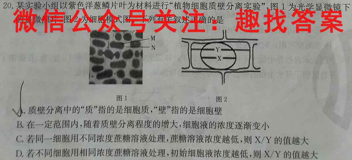 2023普通高等学校招生全国统一考试内参模拟测试卷 新高考(一)1数学