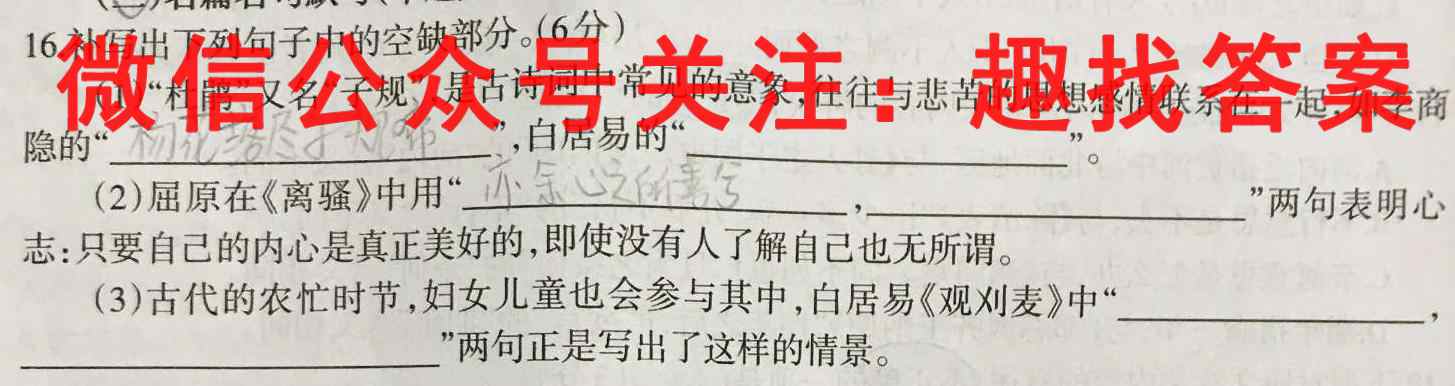 2023届普通高校招生全国统一考试仿真模拟·全国卷 YX-E(五)语文
