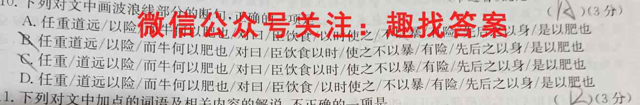 2022-2023学年度上学期高三年级第三次综合素养评价(HZ)语文
