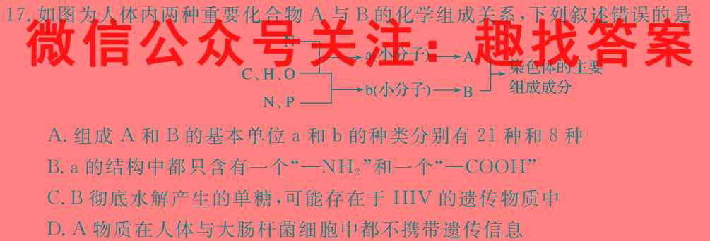 安徽省2023届八年级阶段诊断 R-PGZX F AH(3三)数学