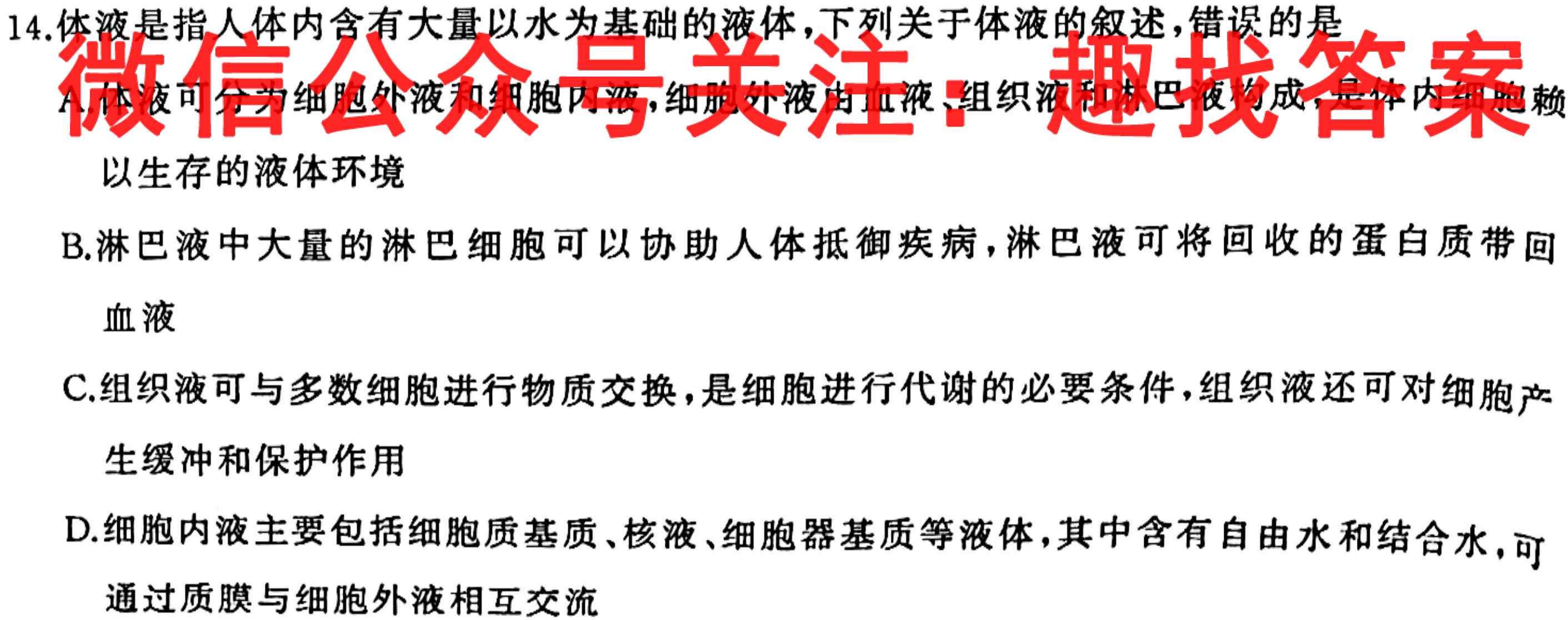 皖优联盟2022~2023学年高三上学期质量检测卷数学