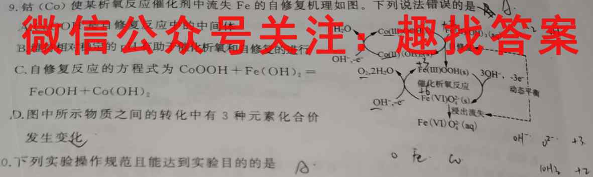 2023届山东省高三12月备考检测联合调考(23-149C)化学