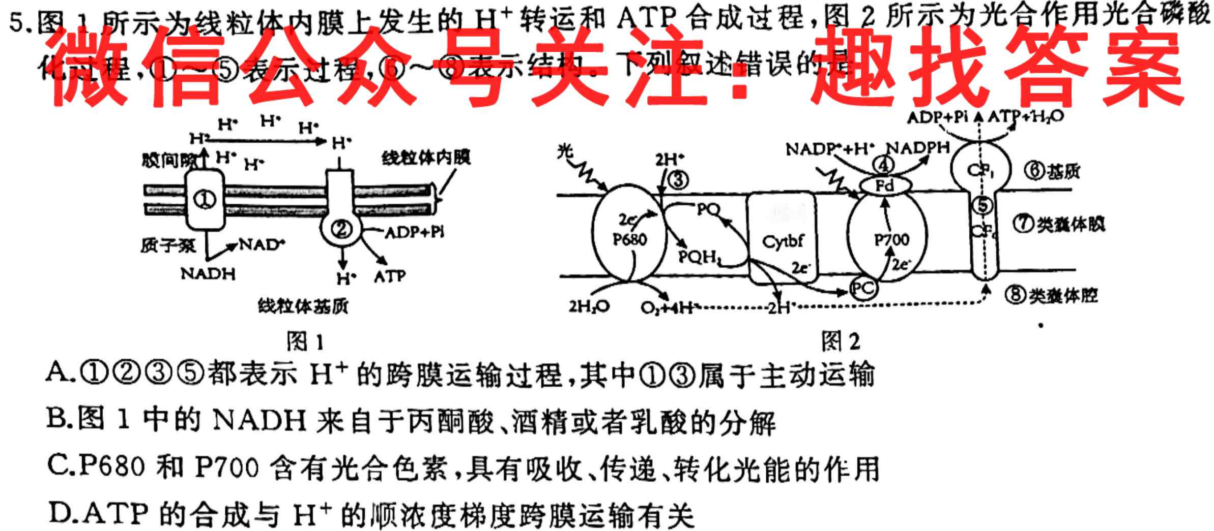 四川省成都市树德中学高2023届高三第四次模拟检测试题数学