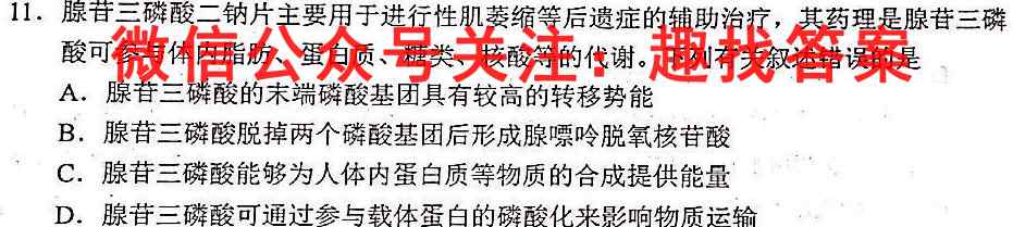 学林教育2022~2023学年度第一学期八年级期末调研试题(卷)数学