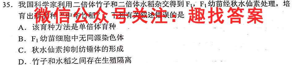 安徽省2022~2023学年度九年级期末综合评估 4L R文理数学