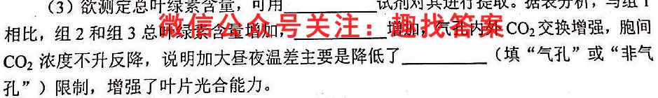 2023年普通高等学校全国统一模拟招生考试 新未来12月高一联考数学