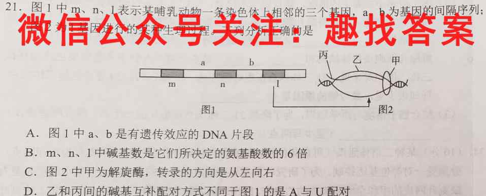 衡中同卷2022-2023上学期高三期末考试(全国卷)文理 数学