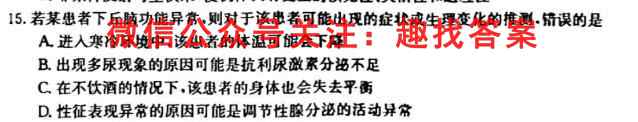 2023普通高等学校招生全国统一考试·模拟信息卷(六)数学