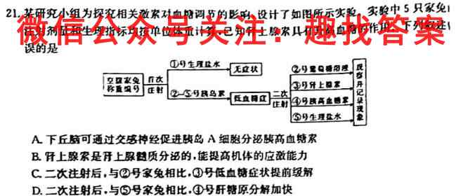 2023届山东省高三12月备考检测联合调考(23-149C)数学