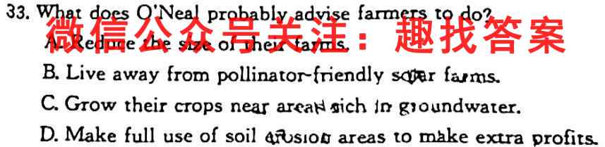安徽第一卷·2022-2023安徽省九年级上学期阶段性质量监测(三)3英语