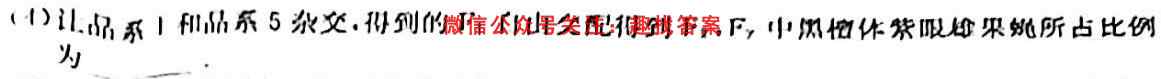 山东省济宁市2022-2023学年高三第一学期期中考试数学