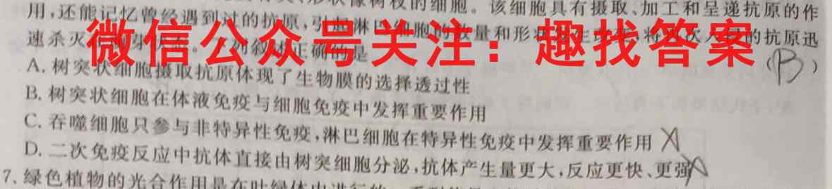 湖南省2022-2023学年2024届高二年级上学期期中考试数学