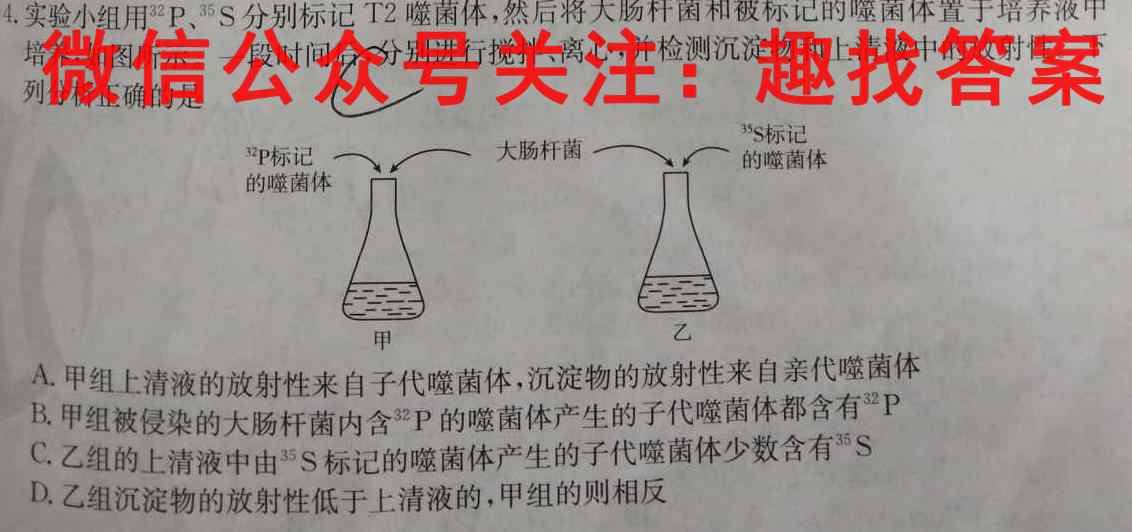 2023年普通高等学校招生统一考试模拟信息卷 新S3(1一)数学