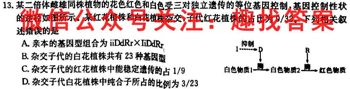 河南省南阳一中2022年秋期高二年级第三次月考数学