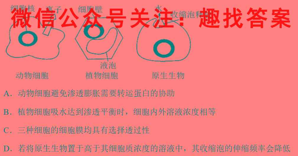 2023届天一大联考(新高考)高考全真模拟卷7(七)数学