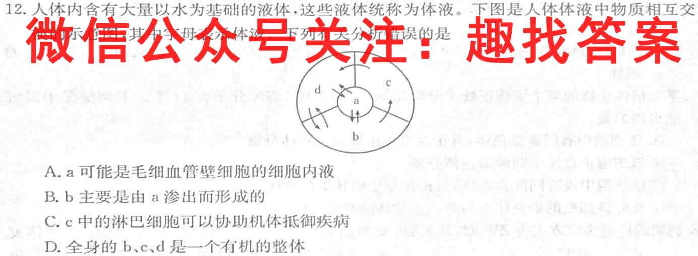 2022-2023衡水金卷先享题高考备考专项提分卷(新教材)高考大题分组练(3)试题文理 数学