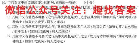 贵州省文德中学2022-2023学年高三(上)学期第三次月考卷(23199C)语文