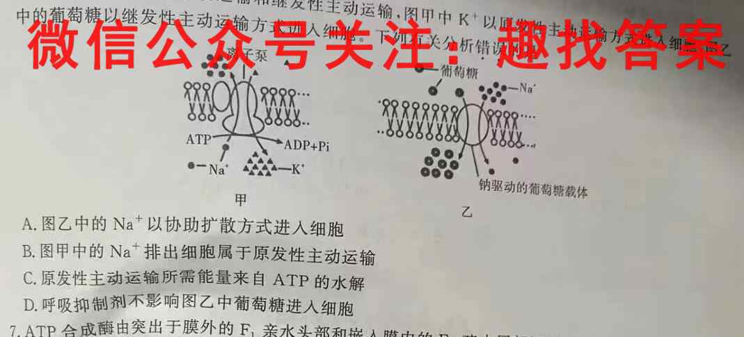 长郡、雅礼、一中、附中联合编审名校卷2023届高三月考试卷四4(全国卷)数学