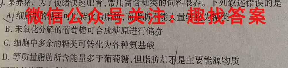 江西省2023届九年级期末综合评估4LR数学