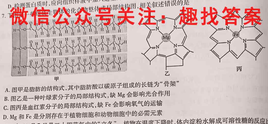 安徽第一卷·2023年九年级中考第一轮复*（六）文理 数学