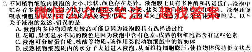 2023年全国高考·模拟调研卷XXY(五)5数学