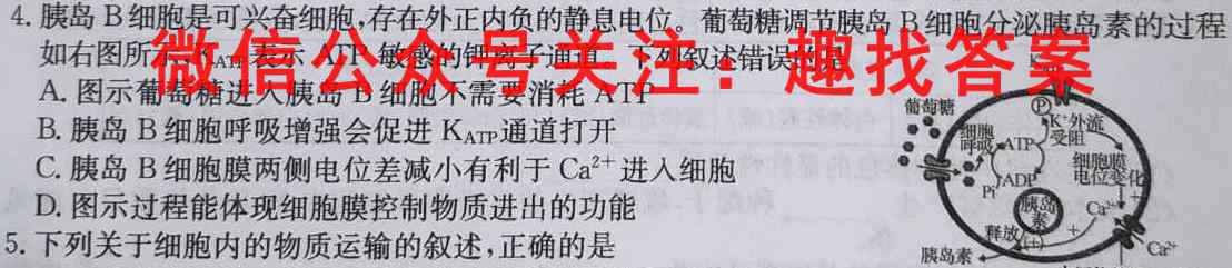 2022-2023学年贵州省2024届高二"三新"改革联盟校联考试卷(6六)文理数学