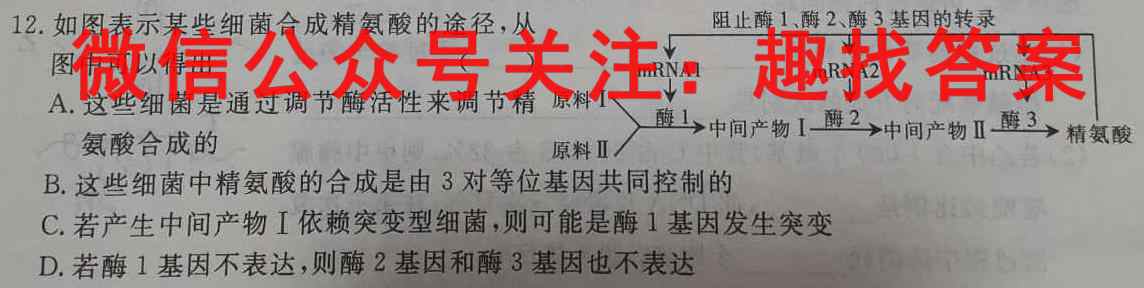 山西省2022~2023学年度八年级上学期阶段评估(二) 3L R-SHX数学