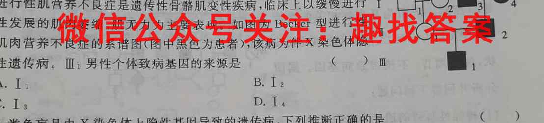 2023届1号卷·A10联盟高三开年考(新教材)文理 数学