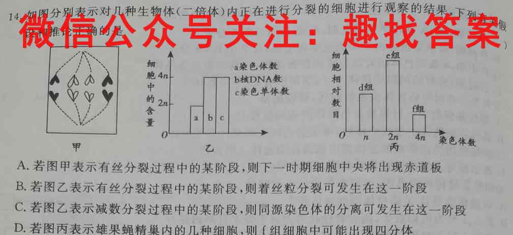 湖南省2023届高三一起考大联考(模拟二)文理 数学