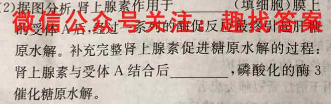 重庆康德2023年普通高等学校招生全国统一考试 高考模拟调研卷(二)2数学