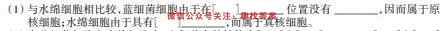 衡水名师卷2022-2023学年度高三分科检测提分卷 151靶向提升(河北省)(五)5数学