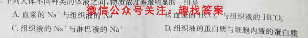 2023届衡水金卷先享题调研卷 山东专版 四数学