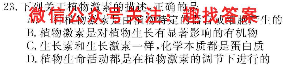 2023年普通高等学校全国统一模拟招生考试 新未来12月高一联考文理数学