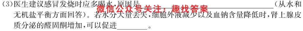 2023全国新高考模拟信息卷XX(六)数学