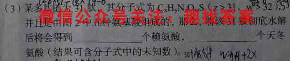 2023届衡水金卷先享题调研卷 湖南专版 六文理数学