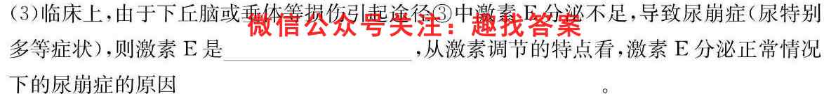 2023届衡水金卷先享题·专项分组练 新高考 高考大题分组练 十一生物试卷答案