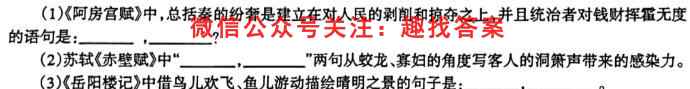 2023届天一大联考(新教材)高考全真模拟卷(八)8语文