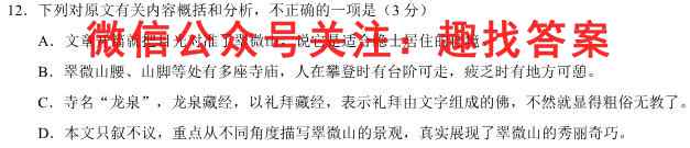 天一大联考 皖豫名校联盟体2023届高中毕业班第二次考试语文